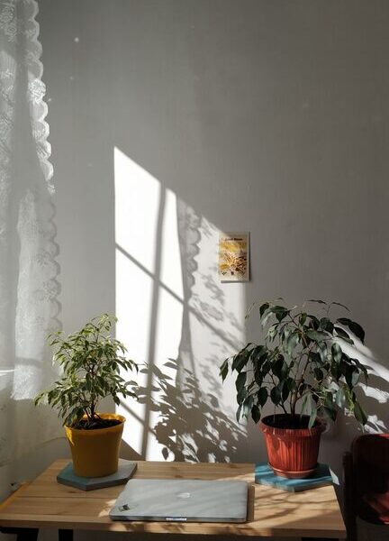 Tips for Creating a Relaxing Home Office Environment